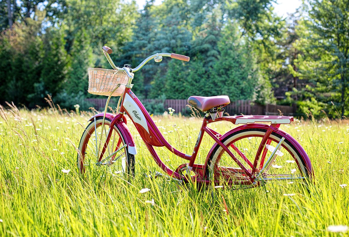 kplwildenborch's tweet photo. Noteer alvast in je agenda: 

Zondag 25 mei 
WILDENBORCHSE FIETSTOCHT

Fietstocht voor jong &amp; oud, mooie routes van ca. 30 &amp; ca. 10 km. Alle info binnenkort

#fietstocht #activiteit #dagjeuit #uitje #fietsen #genieten #natuur #achterhoek #wildenborch #vorden #lochem #barchem https://t.co/EEKmhnvs8h