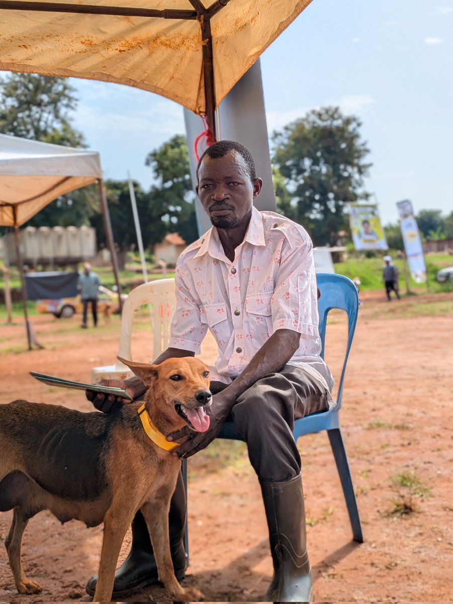Ugveterinarians's tweet photo. #WorldVeterinaryDay2025
The small animal clinic is well prepared. Vaccinations against Rabies and birth control surgeries (Spay &amp; neuter) are about to start. Ssaza grounds Kiboga https://t.co/lWlbah3zXz