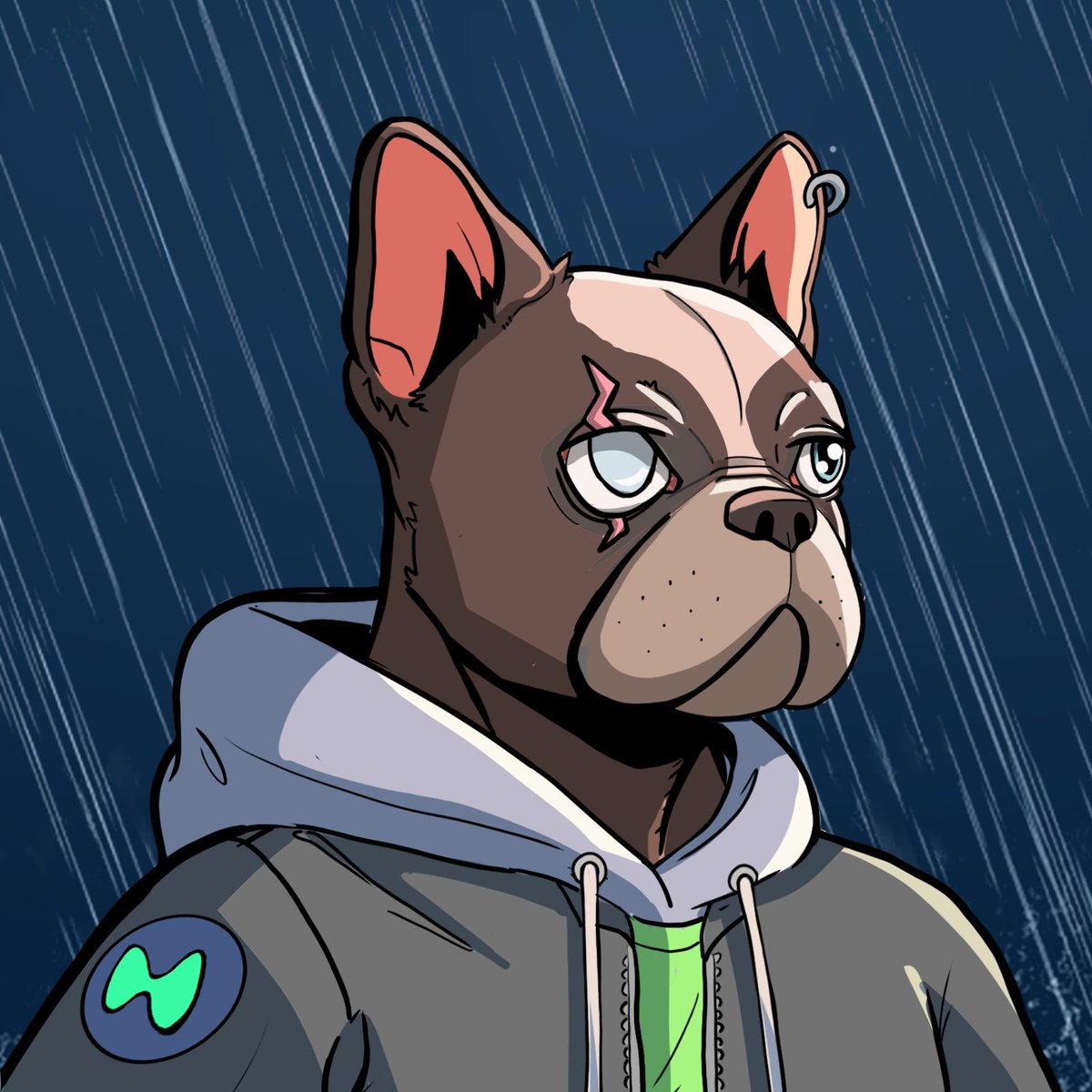 HyperdogHL's tweet photo. Traits of the Day: Rain and Scar Eye. Inspired by the resilience needed in crypto, some Hyperdogs are under a Rain background or/and have a Scar Eye.  Here a Spot type that has survived the bear, wearing a Hyperliquid TechnoHoodie . https://t.co/eEtSwq1wJf