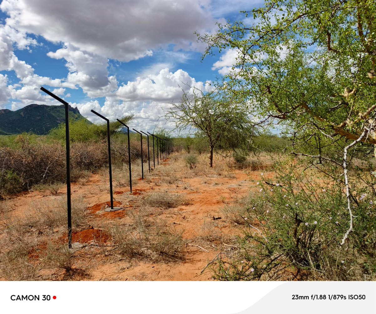 TwendeProjectKe's tweet photo. Fencing works on going at Nairibii Pasture Seed Bulking site, Laisamis Ward, Marsabit County https://t.co/uGItKnDcc7