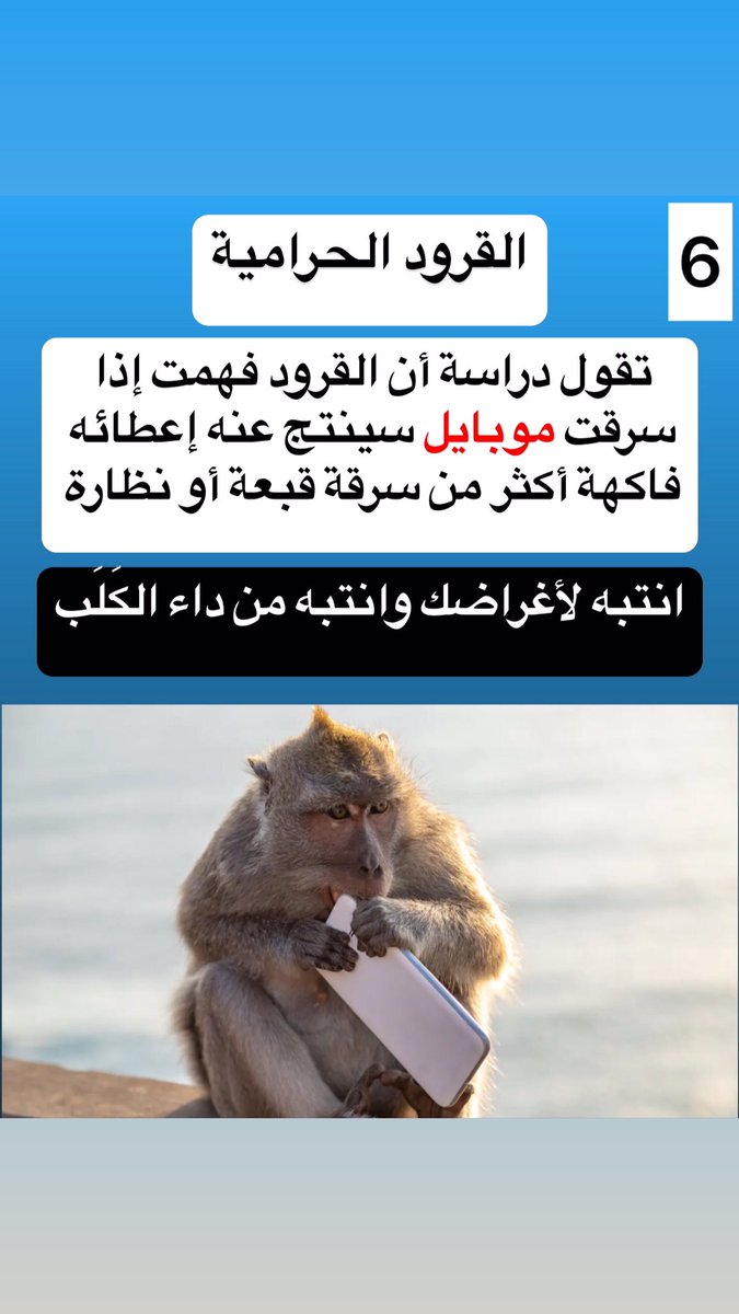 mruae81's tweet photo. 19 نصيحة مهمة قبل سفرك إلى جزيرة بالي إندونيسيا 
#جزيرة_بالي
#الدرون مسموح #اندونيسيا 
#السعودية
#الامارات https://t.co/8EhUnMnBQm