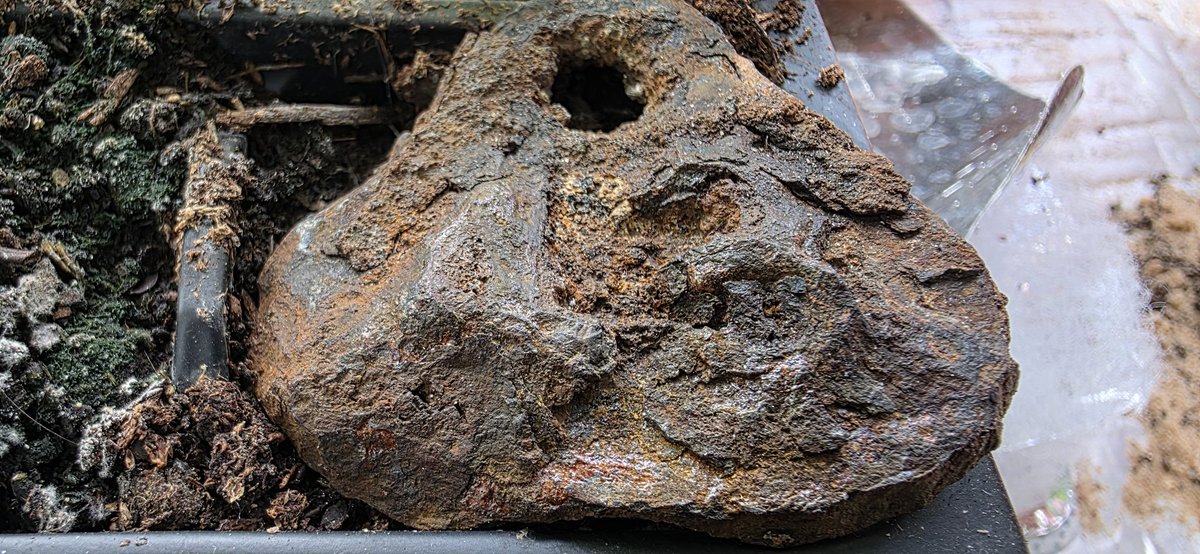 Found this is the garden last night around 6 inches down. Any ideas, definitely can see a number 43 on and is quite heavy.