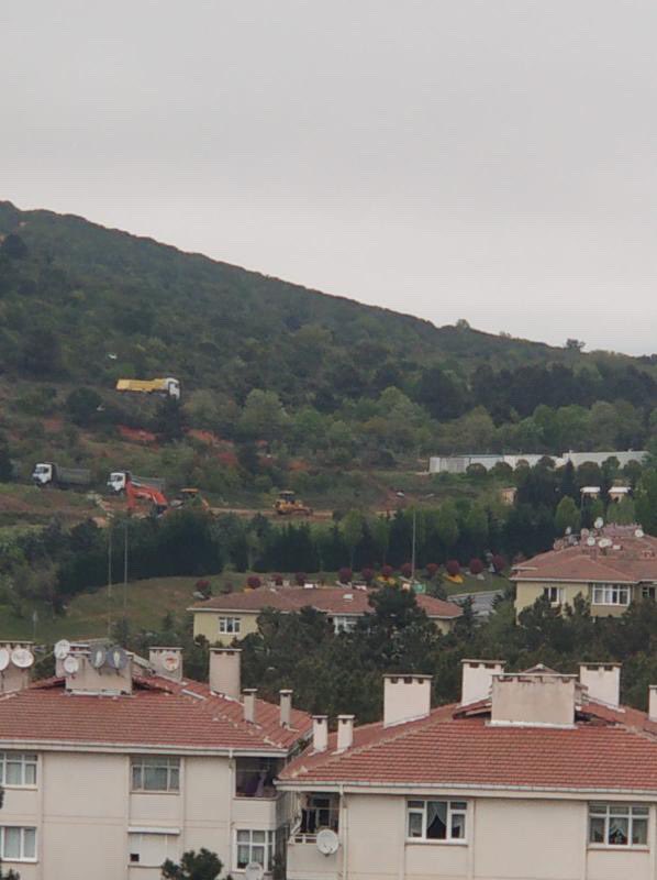 İstanbul Maltepe’deki askeri arazide ağaç katliamı var