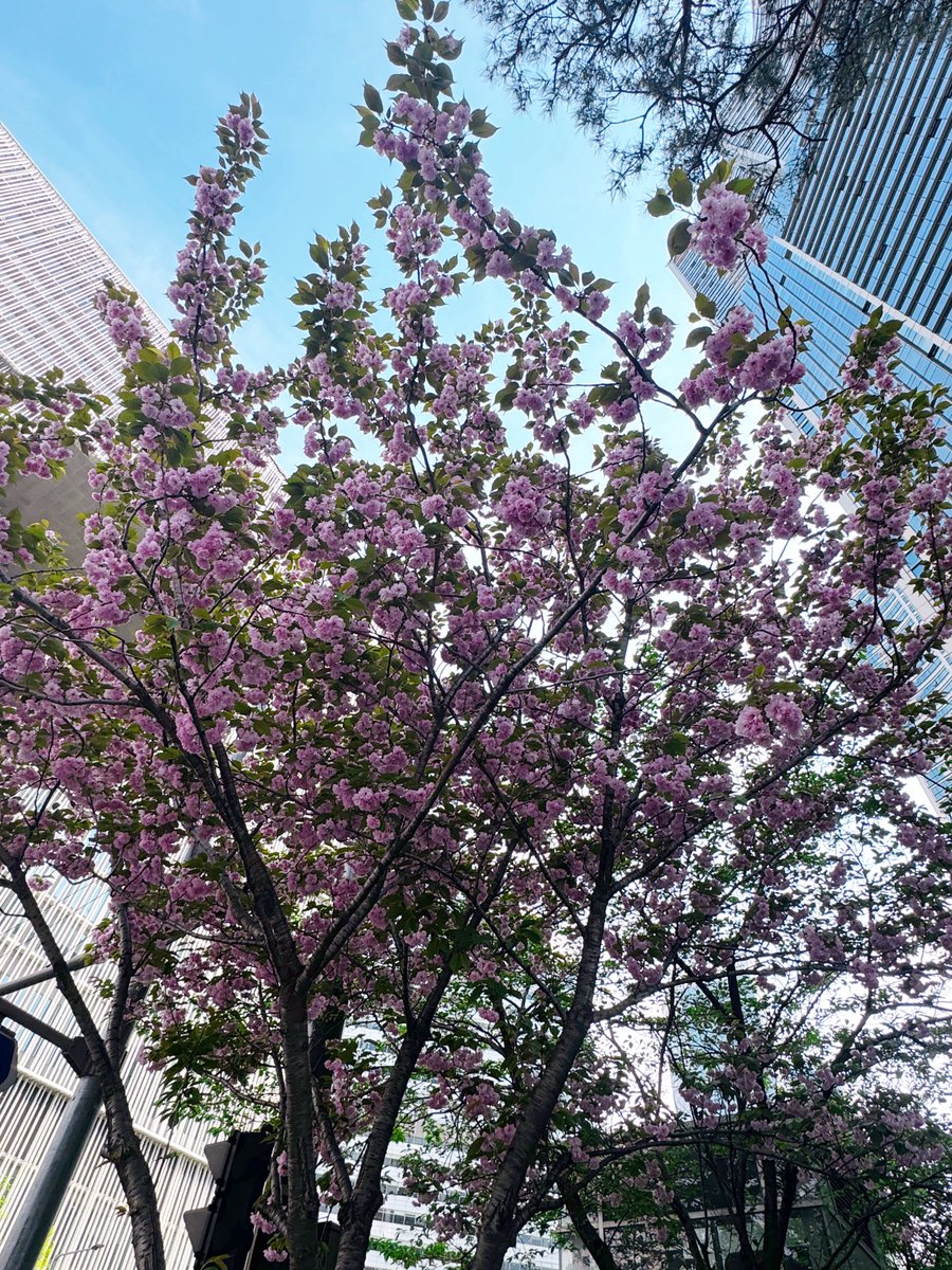 날씨가 무지무지 좋았던 날☀️🌡️ 우리의 공주님 얘기도 마음껏하고 서로 준비한 선물 열어보는 재미도 넘넘 좋아따요 우리 곧 또 만나쟈😘❤️