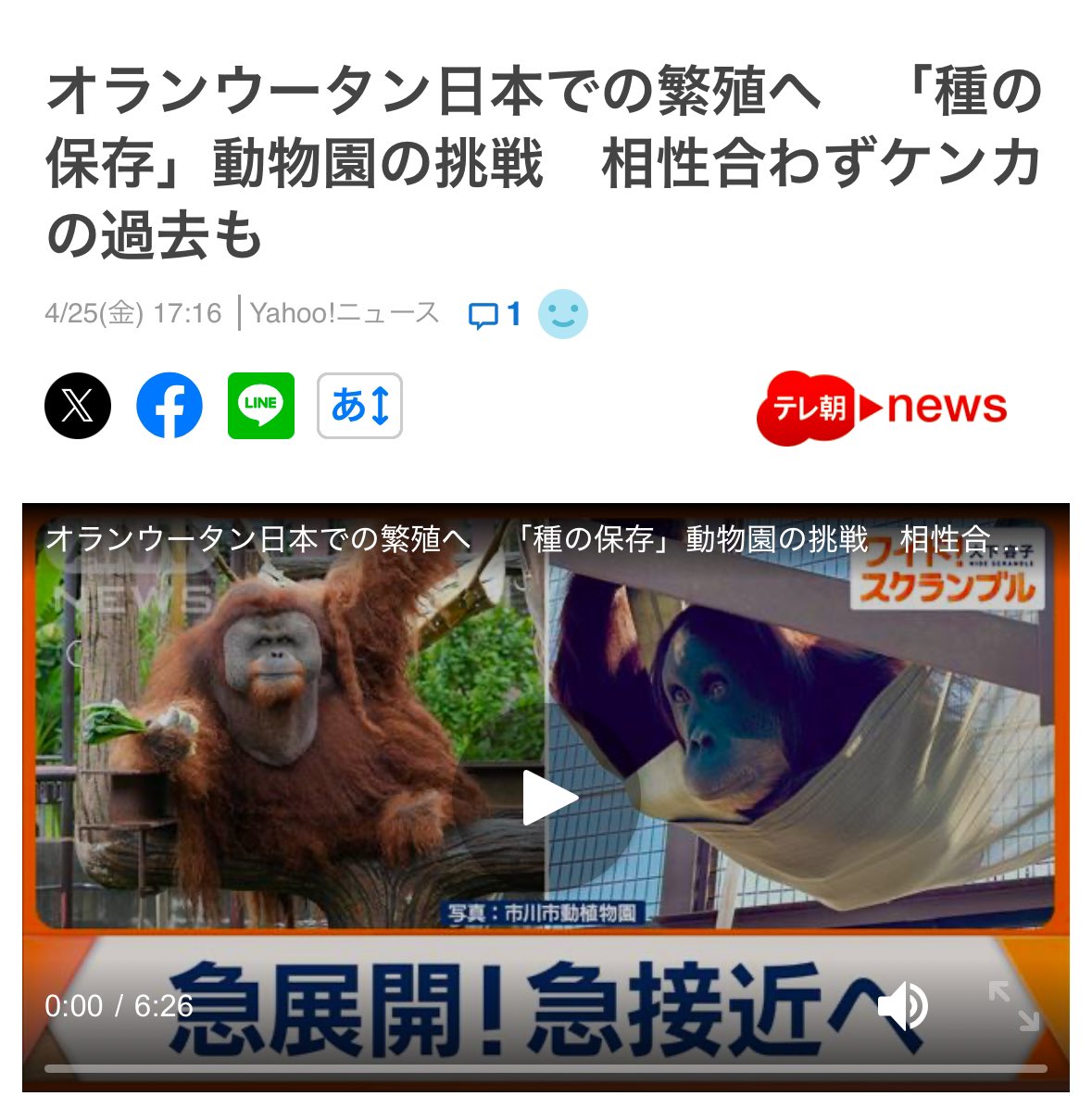 vegan_teacher__'s tweet photo. 人間だって相性が合わない人がいる。
そんな人とは秒と一緒にいられないはずだ。
それを無理やり交配までさせようとする
反吐が出るような人間中心主義。
#動物園閉鎖 #nomorezoos #脱搾取 #vegan #全ての檻が空になるまで #untileverycageisempty #動物解放 #animalliberation https://t.co/5uSA2eo47T