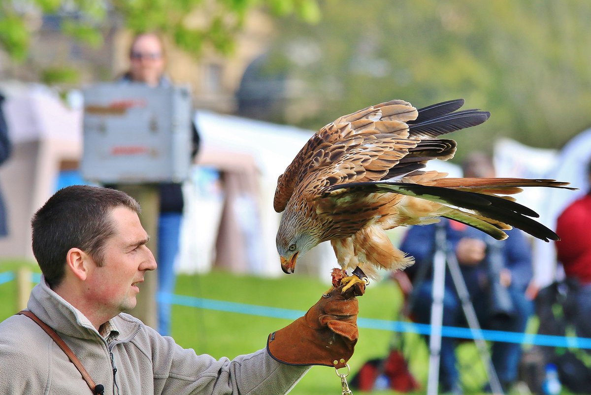 🦉 Reasons to visit this weekend? Our pals from SMJ Falconry are back at the farm this weekend with their fantastic feathered friends.
Make sure you visit for plenty of flying demos and photo opportunities.