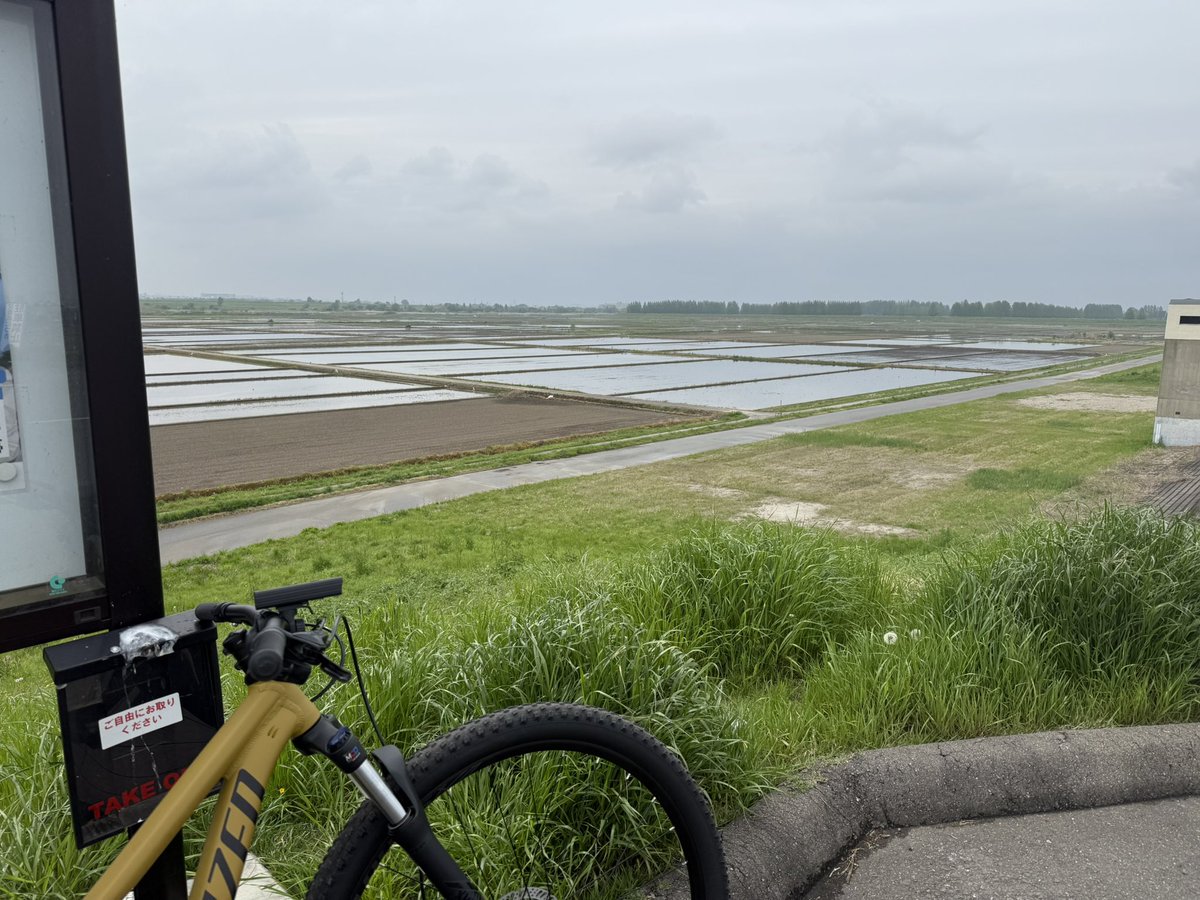 season3future's tweet photo. 愉しく元気に過ごす為のパートナーを加えて近所を散歩

田植えの季節 https://t.co/UQnjbzMXKI
