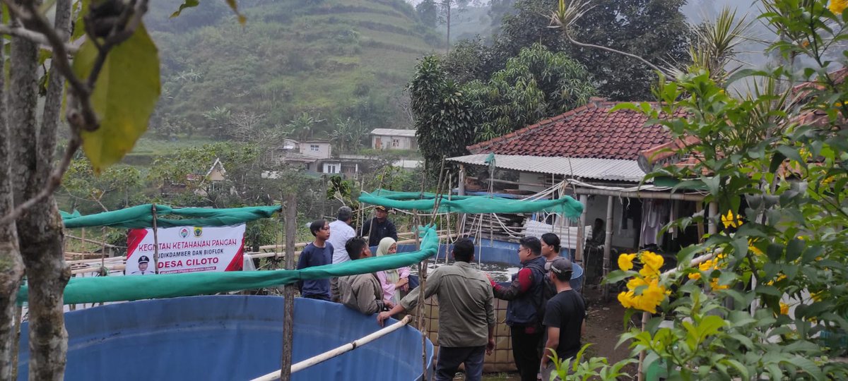 SultanSyahid3's tweet photo. *Ketahanan pangan untuk kesejahteraan rakyat desa* bioflok ikan nila Desa Ciloto Cipanas

*#TerimaKasihPakYandriSusanto*

@prabowo
@YandriSusanto27
@ArizaPatria
@Taufikmadjid71
@kemendespdt
@bpsdmkemendesa https://t.co/8l6cpgDMz7