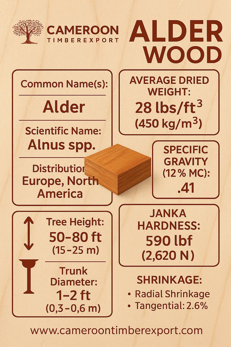 ExportTimber's tweet photo. Need premium Alder wood?

Lightweight, durable, and perfect for furniture and crafts.

🌍 Shipping worldwide — Order today!

Visit: https://t.co/jqK6TWulPp

#alderwood #timber #lumber #woodsupplier #timbersupplier #export #worldwide https://t.co/LFBKoSDW87