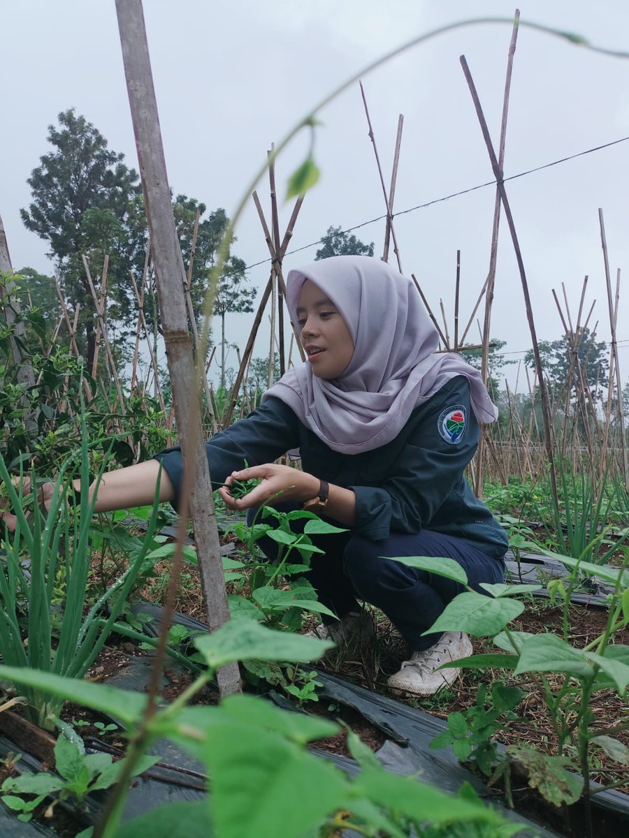 SultanSyahid3's tweet photo. *Ketahanan pangan untuk kesejahteraan rakyat desa* panen di desa gekbrong cianjur

*#TerimaKasihPakYandriSusanto*

@prabowo
@YandriSusanto27
@ArizaPatria
@Taufikmadjid71
@kemendespdt
@bpsdmkemendesa https://t.co/NagR5OGn0j