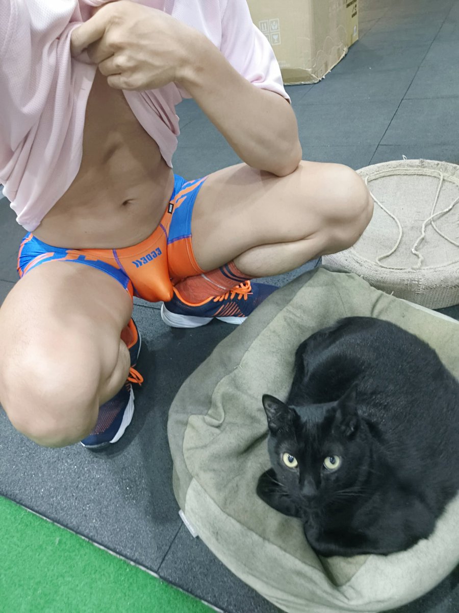 噢不，是肥肥der貓肚肚🐈🫠