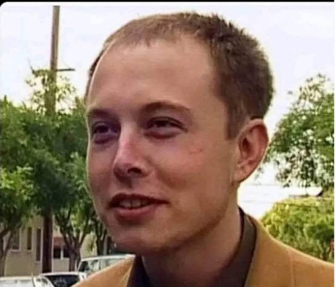 HamyAntti's tweet photo. Hi! I'm @elonmusk and I'm the fasist owner of Twitter. Legalise humour! Heil Musk! https://t.co/8Z4Zh7OtLr