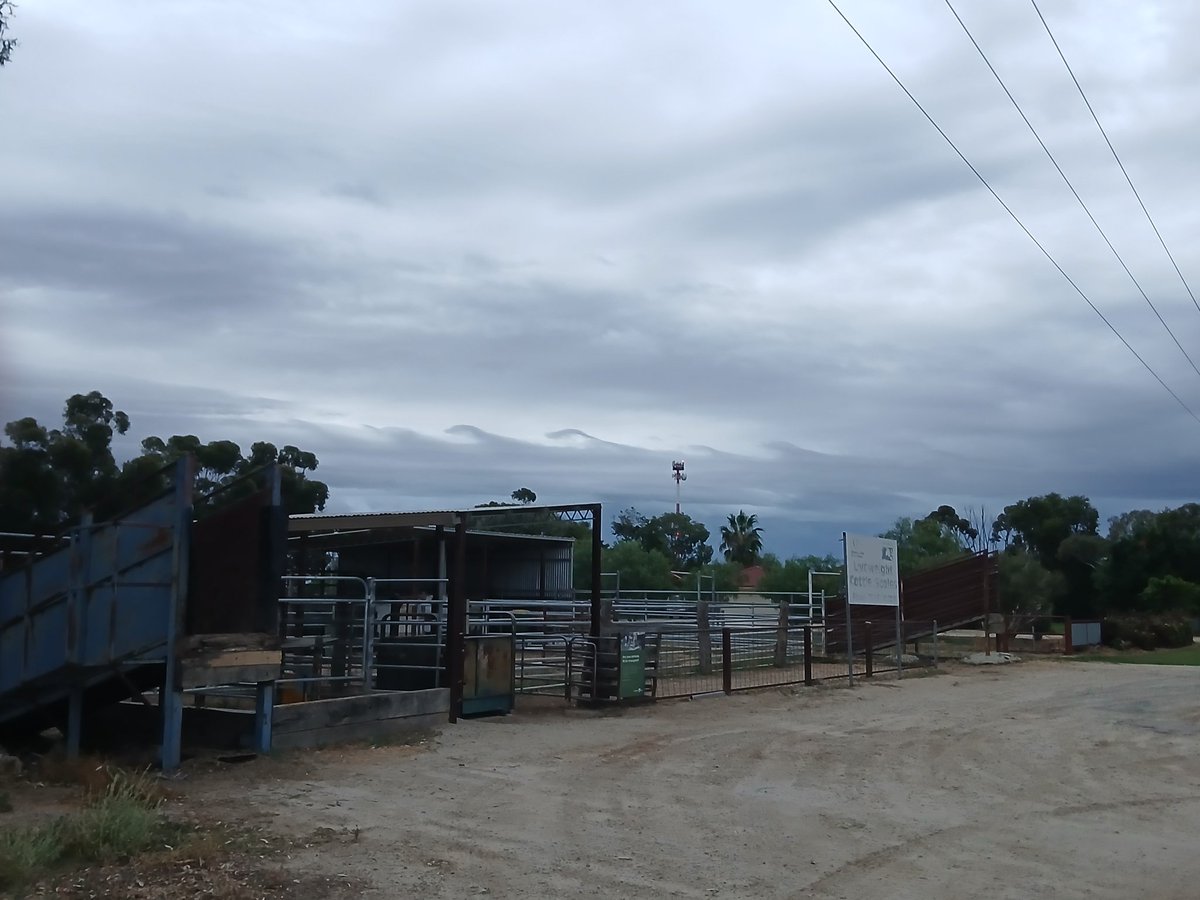 bruning_tyler's tweet image. One last storm to end the season! #weather #Vicweather #melbourneweather