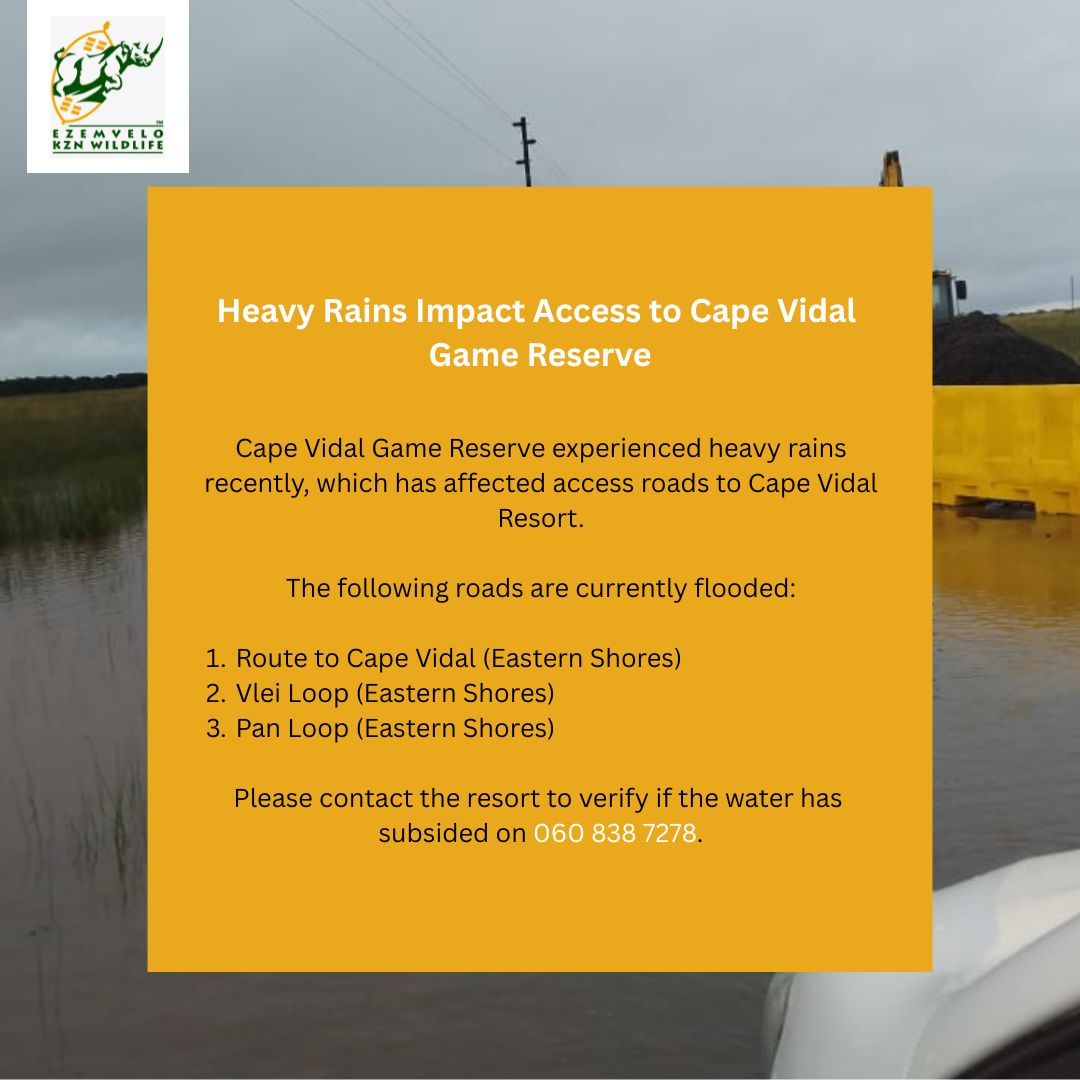 EZEMVELO KZNWildlife (@ezemvelokznwild) on Twitter photo 