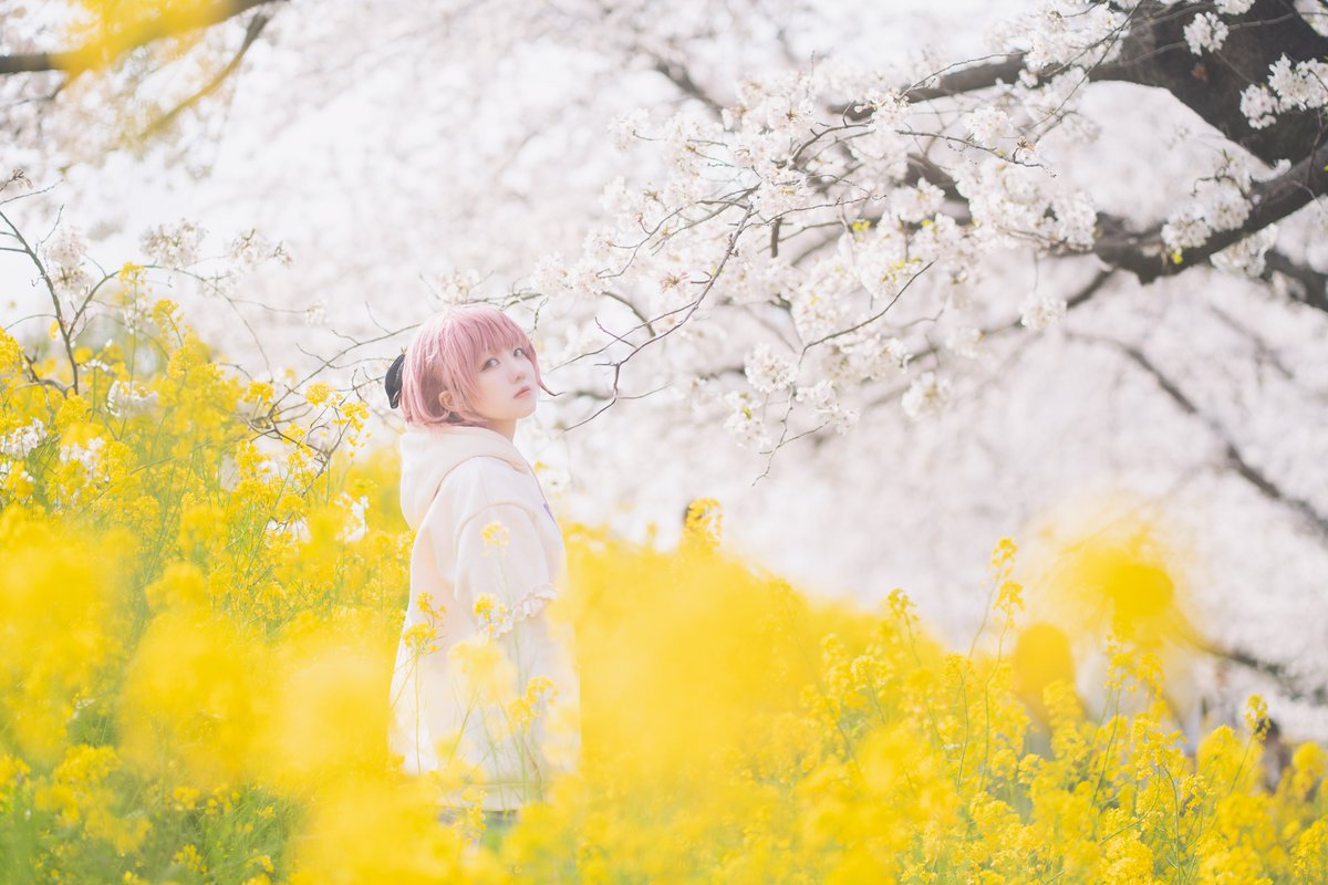 sara.∗̥✩⁺˚ tweet media