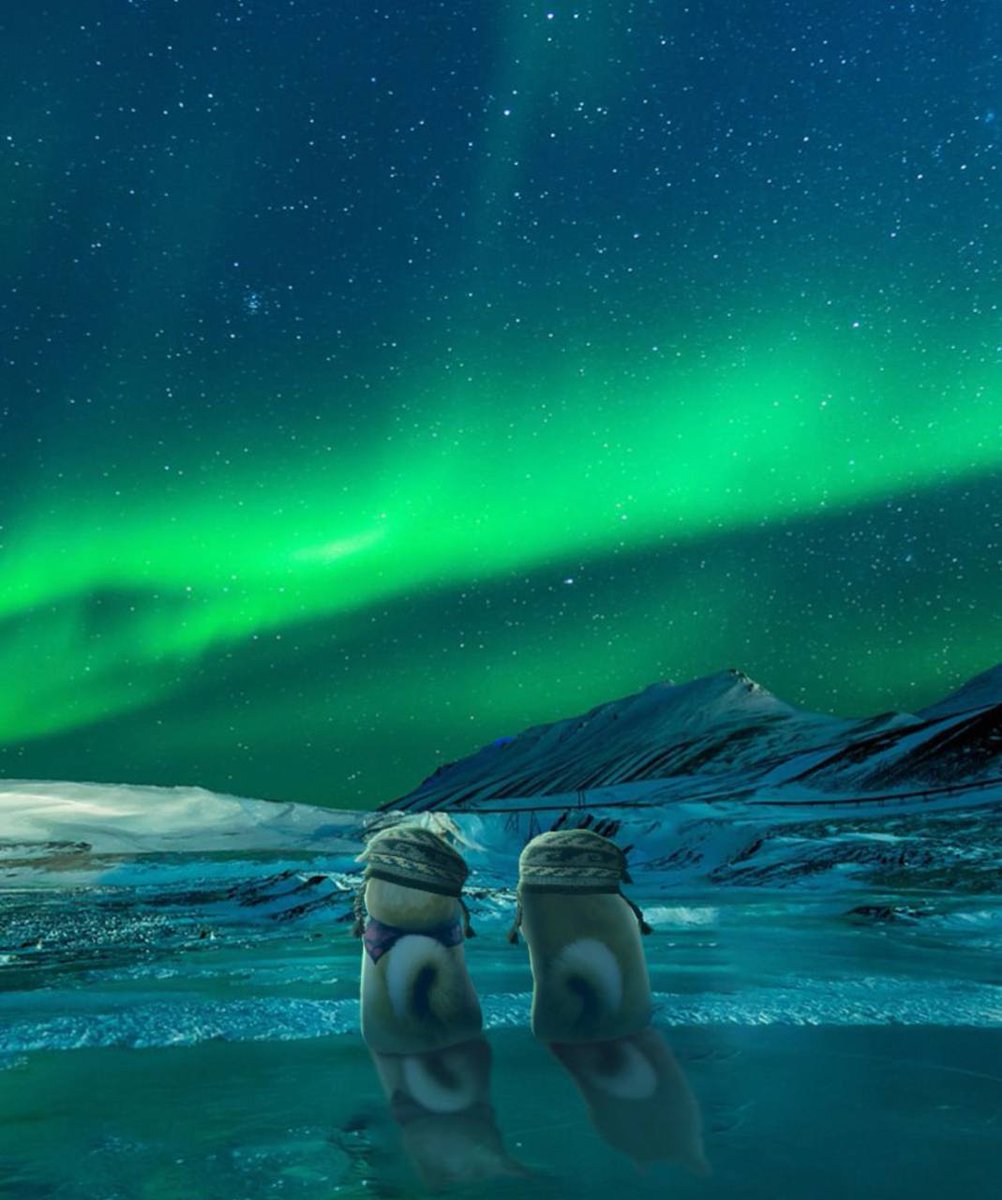 neiro's tweet image. Much wow! Is witnessing the Northern Lights on your bucket list?
