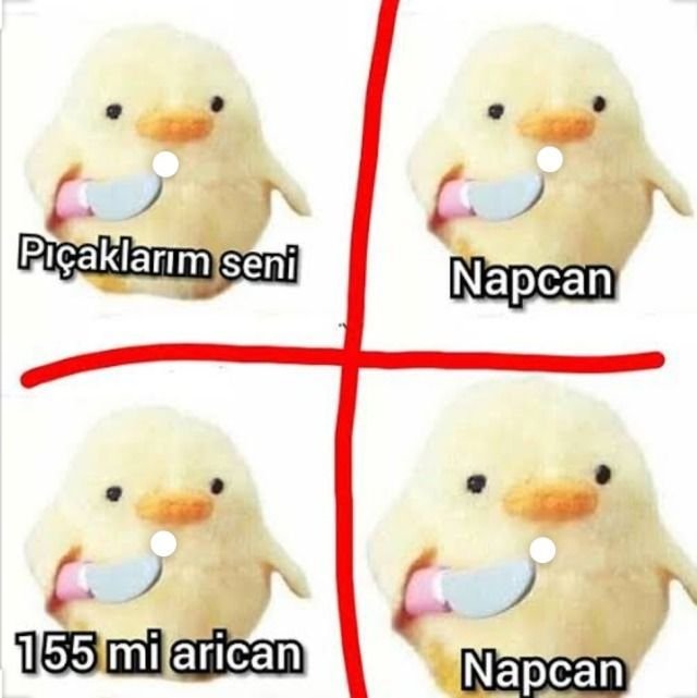 1sadfatcat's tweet photo. bugün bundan yaşandı, bu gece karakolluk olabilirim yar ben belanın ta kendisiyim https://t.co/EGnTUJWalE