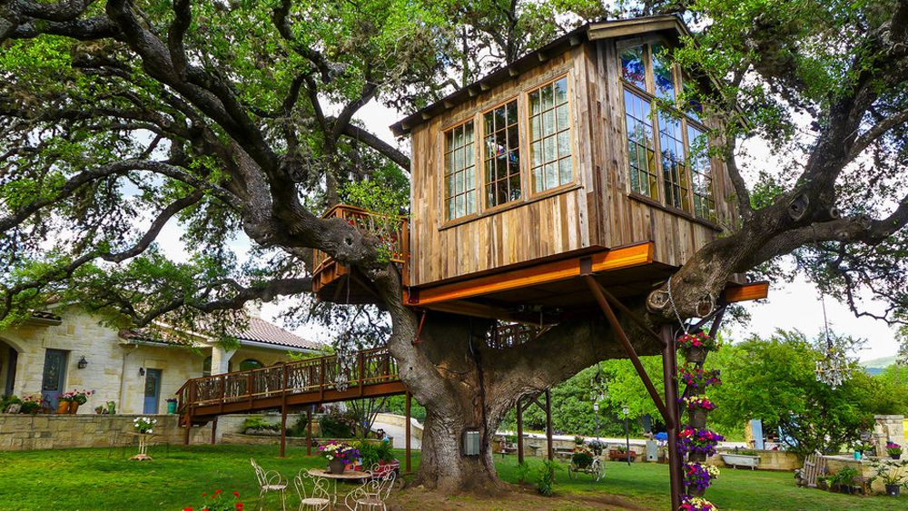 Learn all about how to build your very own tree house: buff.ly/rq15eS4 #diy #DIYDoctor #homeimprovement #home #construction #remodel #building #homeinspo #homesweethome #renovation #homerenovation #projects #project #ideas #realestate #exteriordesign