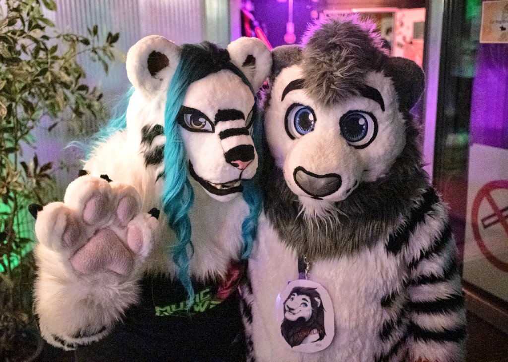 Cuddle With my cuti Tiger Sister.😊

🦁<a href="/WhhiteLionn/">WhiteLion.</a>
🐯 <a href="/CynthiaFeline/">✨ Cynthia ✨</a>

📷<a href="/MatJeffries/">Mathew Jeffries</a> Lionbrother. ☺️
🪡<a href="/CeeGeeFursuit/">Stracia 🐾</a>: WhiteLion 

Happy #FursuitFriday 😄 for everyone. 🥰