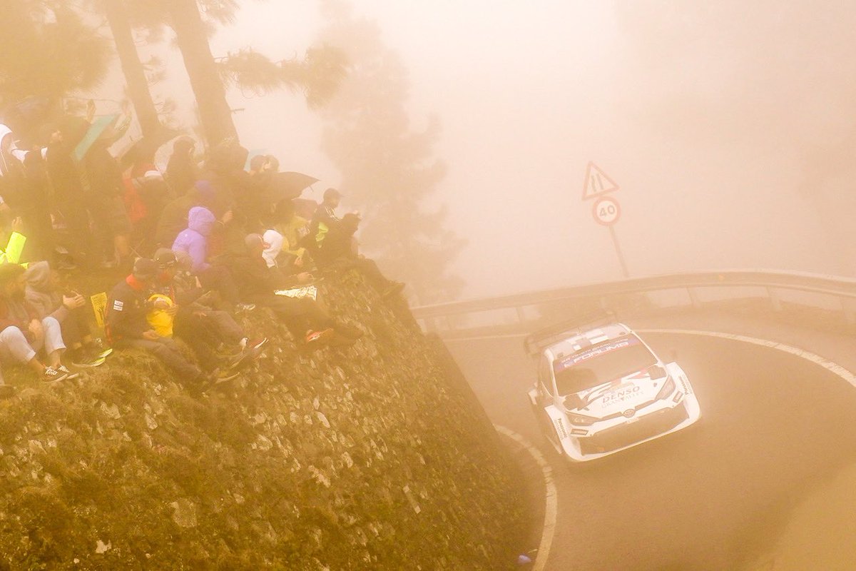 OfficialWRC's tweet photo. Visibility? Never heard of it 😶‍🌫️

#WRC | #RallyIslasCanarias 🇮🇨 https://t.co/Enm6ei65LQ