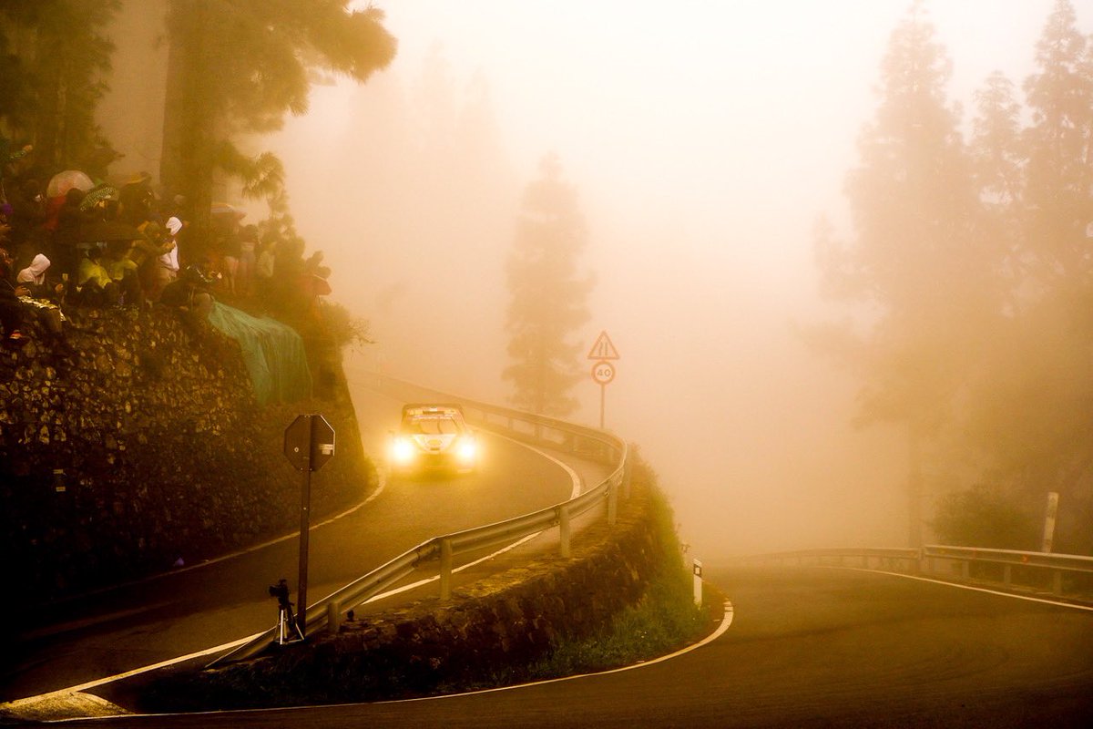 OfficialWRC's tweet photo. Visibility? Never heard of it 😶‍🌫️

#WRC | #RallyIslasCanarias 🇮🇨 https://t.co/Enm6ei65LQ