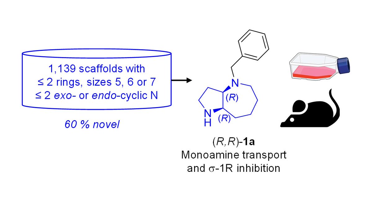 Reymond Group (@reymondgroup) on Twitter photo 🎊Check out our latest publication "Exploring Simple Drug Scaffolds from the Generated Database Chemical Space Reveals a Chiral Bicyclic Azepane with Potent Neuropharmacology" in Journal of the Medicinal Chemistry!
Read the full version here👉pubs.acs.org/doi/10.1021/ac…
<a href="/DCBPunibern/">DCBPunibern</a> 🎊Check out our latest publication "Exploring Simple Drug Scaffolds from the Generated Database Chemical Space Reveals a Chiral Bicyclic Azepane with Potent Neuropharmacology" in Journal of the Medicinal Chemistry!
Read the full version here👉pubs.acs.org/doi/10.1021/ac…
<a href="/DCBPunibern/">DCBPunibern</a>
