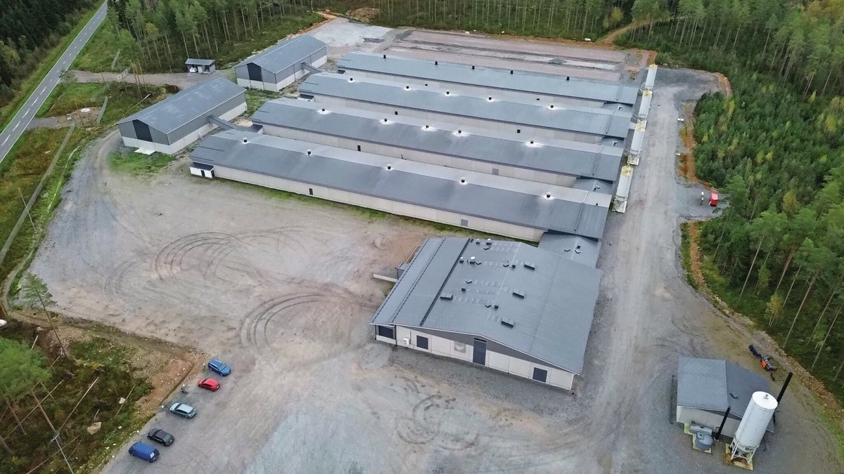 Ida Toivonen manages Säkylän Munakori, a Finnish farm housing 140,000 layers. The farm is owned by a cooperative of 20 poultry farmers who collectively care for 1.5 million hens.

 Curious? Check out the full story!
➡️ow.ly/I3op50VHBab

#Poultry #Farm
