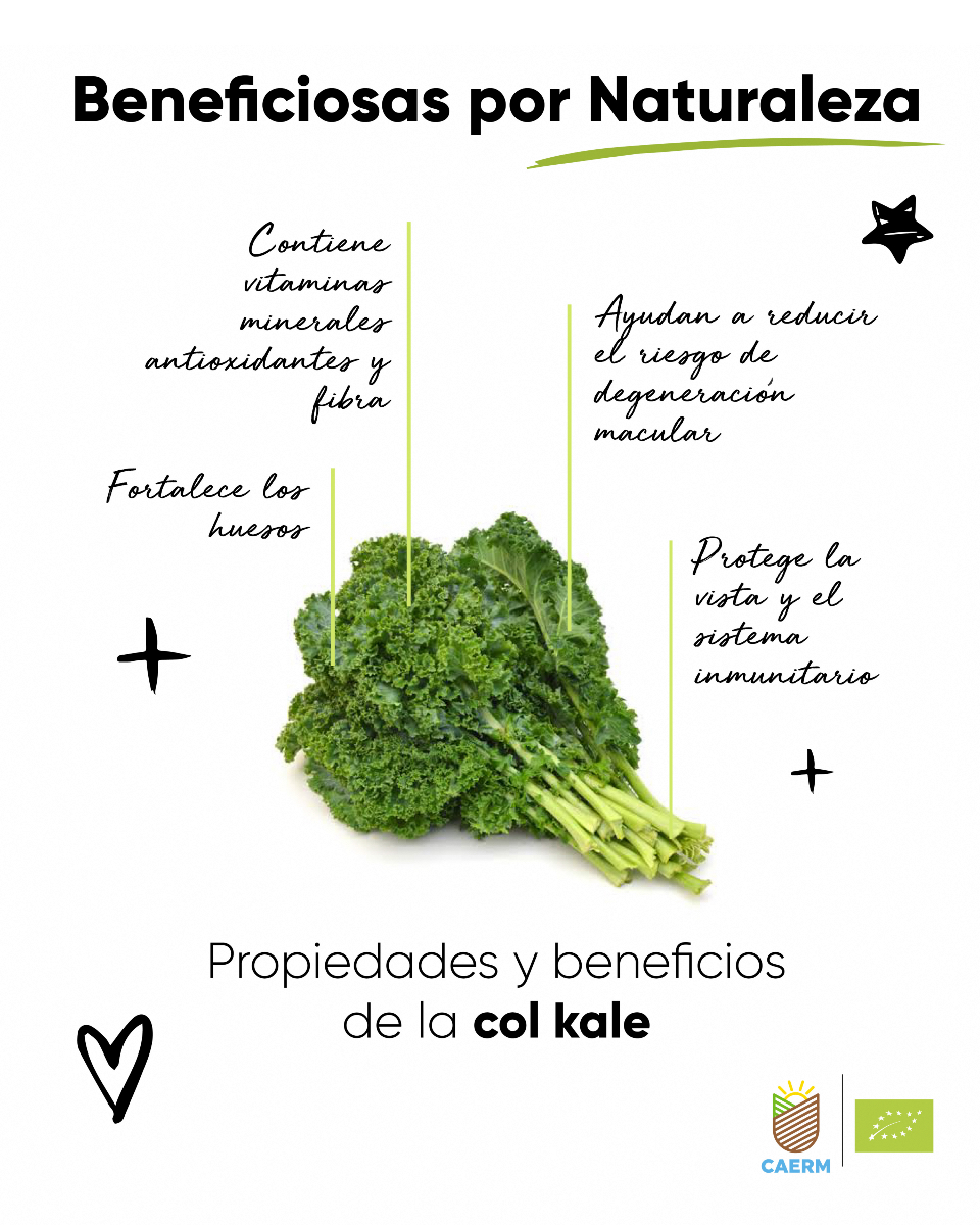 caermurcia's tweet photo. 📝Toma nota de las propiedades de la #colKale 🥬:
✔️Vitaminas, minerales, antioxidantes y fibra
✔️Fortalece los huesos
✔️Ayudan a reducir el riesgos de degeneración mácula
✔️Protege el sistema inmune
Y si es #ecológica, será buena para ti y para el entorno: #buenapornaturaleza https://t.co/uBX9bjV0f9