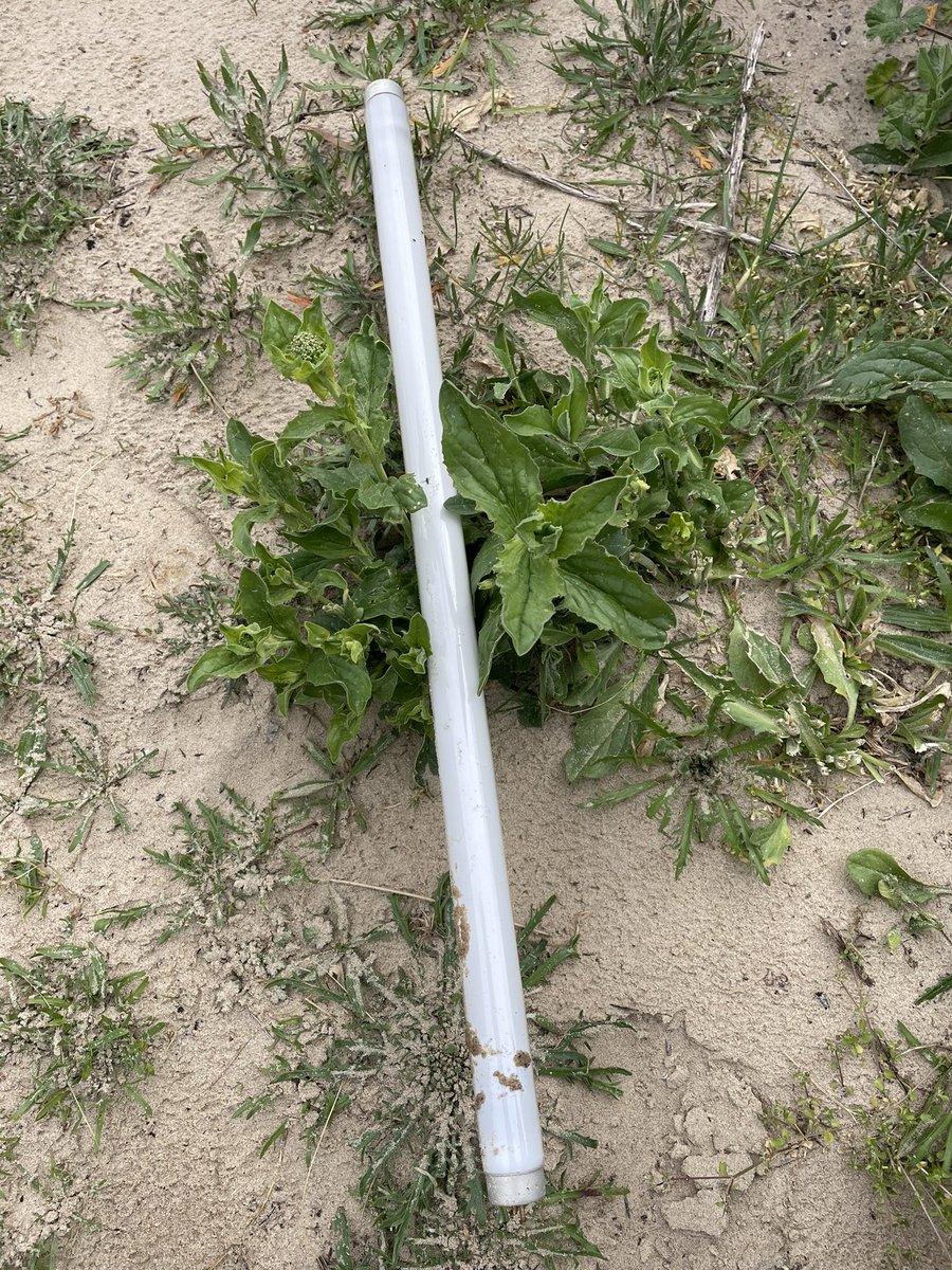 Clairie21's tweet image. #strangestfinds #lightbulb #why #beachclean