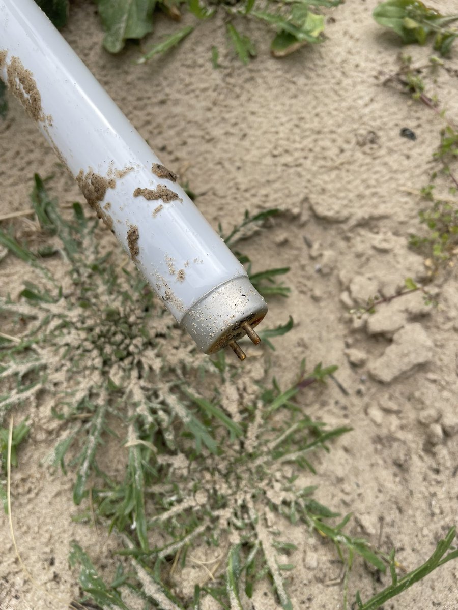 Clairie21's tweet image. #strangestfinds #lightbulb #why #beachclean