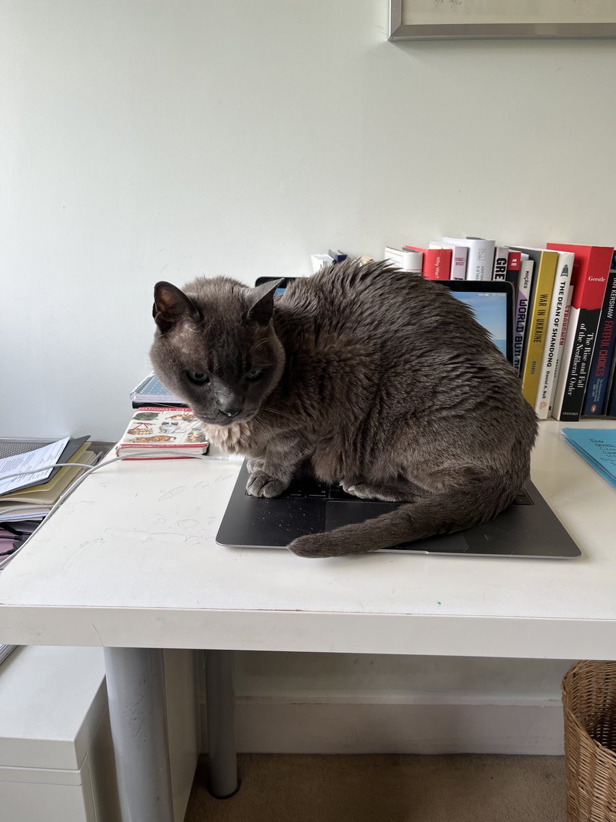 Gideon Rachman tweet media