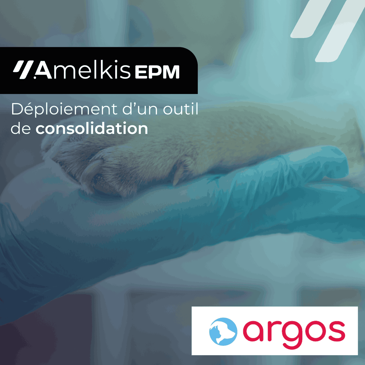 amelkis's tweet photo. 📢 Argos Vétérinaire fait le choix de l'outil Amelkis EPM pour réaliser sa consolidation !

Merci à Argos Vétérinaire pour leur confiance en notre expertise ! 🚀 https://t.co/womOCPIyUN