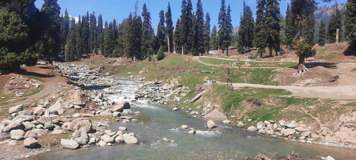itsmitasingh's tweet photo. None left to witness !
#BotaPathri
#Gulmarg
Post #PahalgamTerroristAttack https://t.co/7T0ZmnHxB3