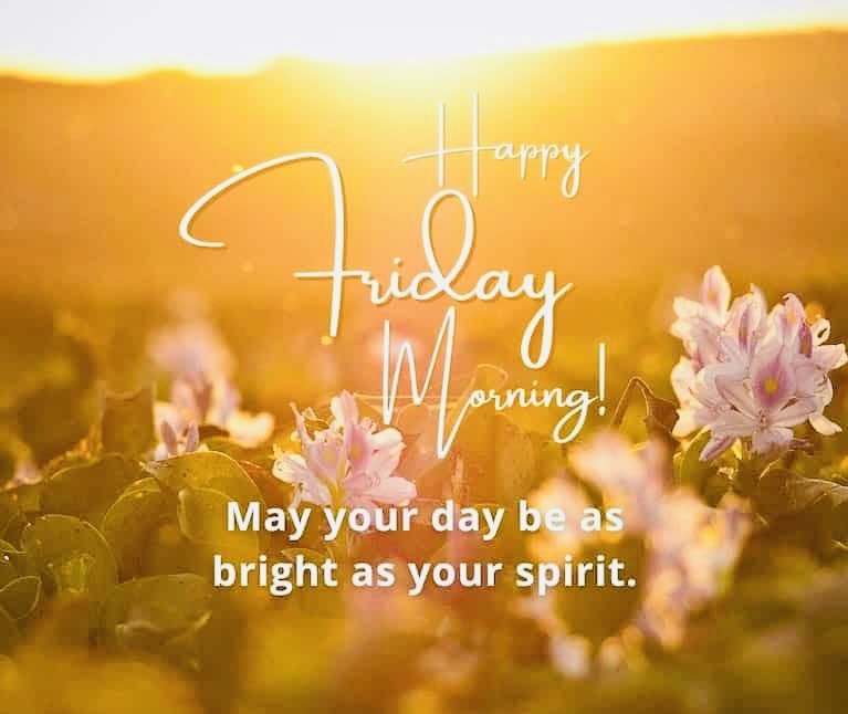 Happy Friday! Have a blessed day my friends 🙏💖😁

“I will say to the Lord, “My refuge and my fortress, My God, in whom I trust!””Psalm 91:2