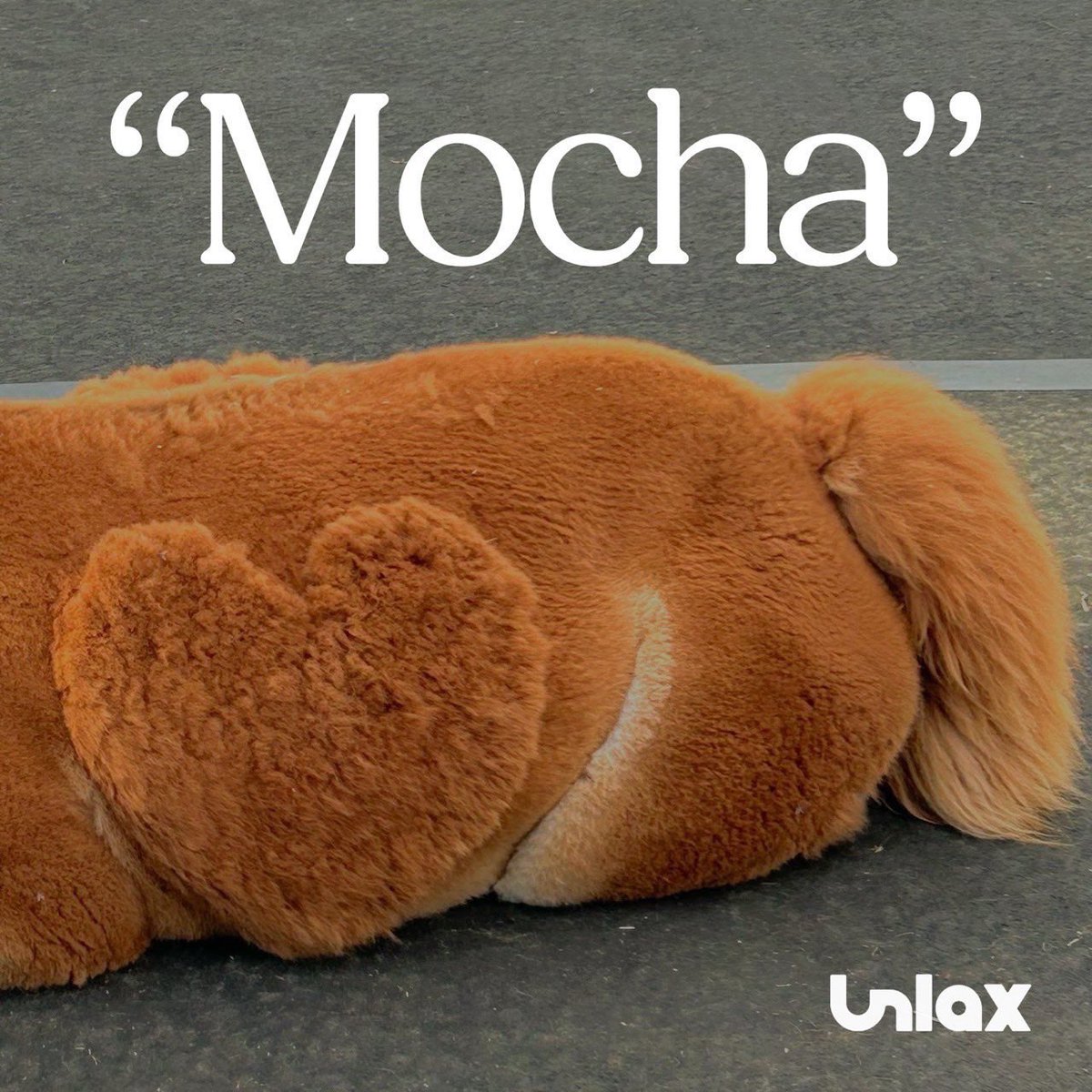 gainground025's tweet photo. GAIN GROUNDにても予約受付開始!
5月5日発売
新潟産メロディックパンクバンド
Unlax
Mew 4th Demo
Mocha / CD / 550円
御予約は店頭もしくはDMにて
#unlax https://t.co/2qybhMFtrs
