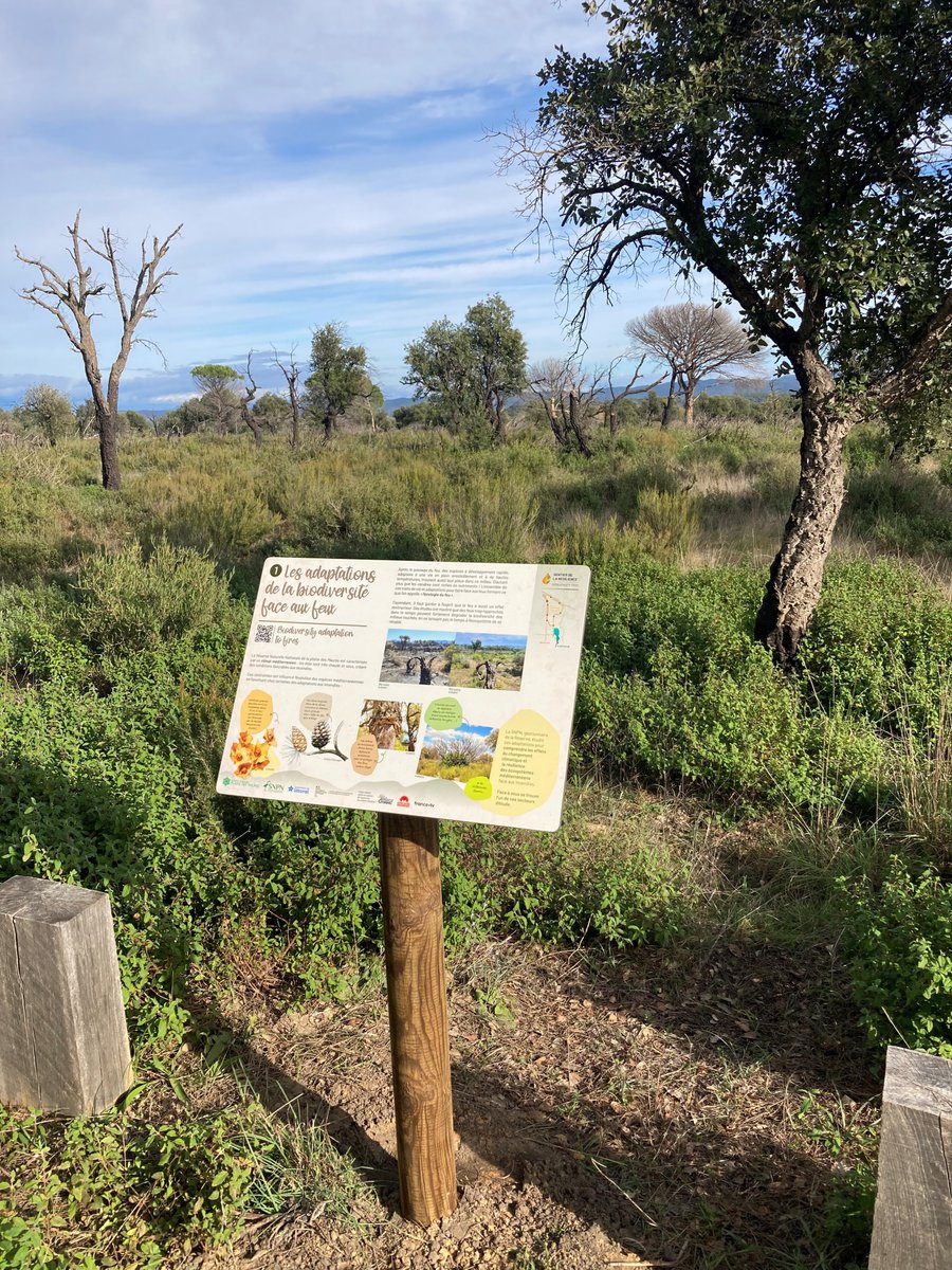 Plaine des Maures (83) : un sentier pour raconter la résilience de la nature après l’incendie de 2021 ecolopop.info/2025/04/plaine…