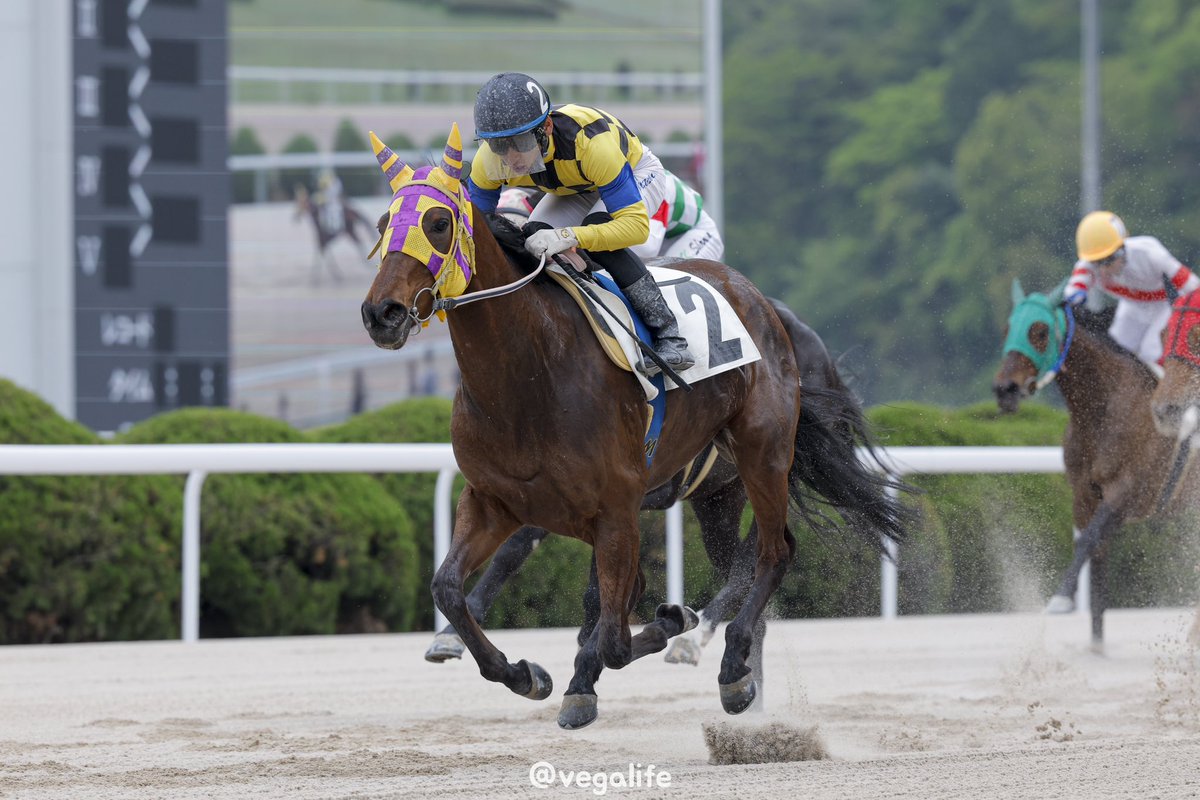 vegalife3sagakb's tweet photo. 2025.04.25

飛田愛斗騎手が、マティルデ号で怪我から復帰後初勝利㊗️

#佐賀競馬 https://t.co/qHNdBapyde
