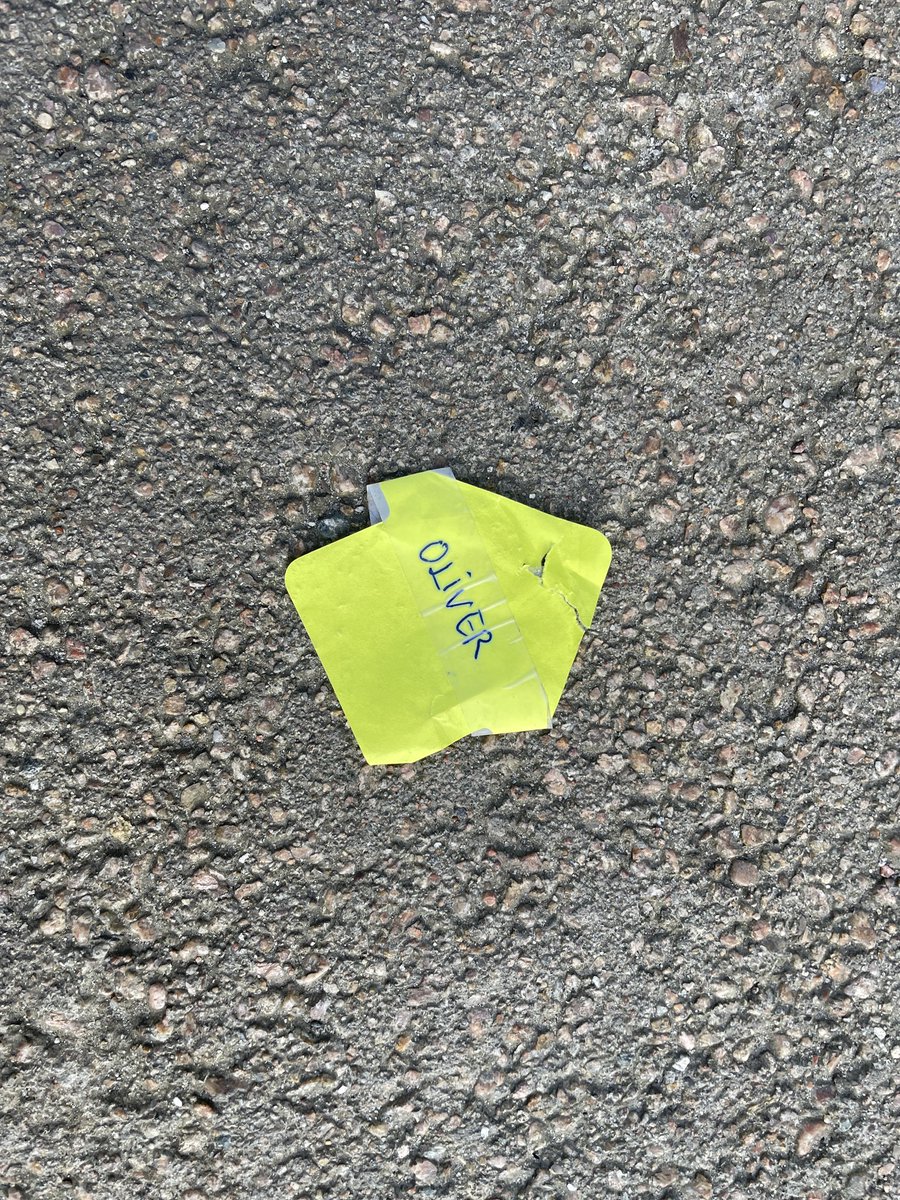 Sebastian Stanbury tweet media