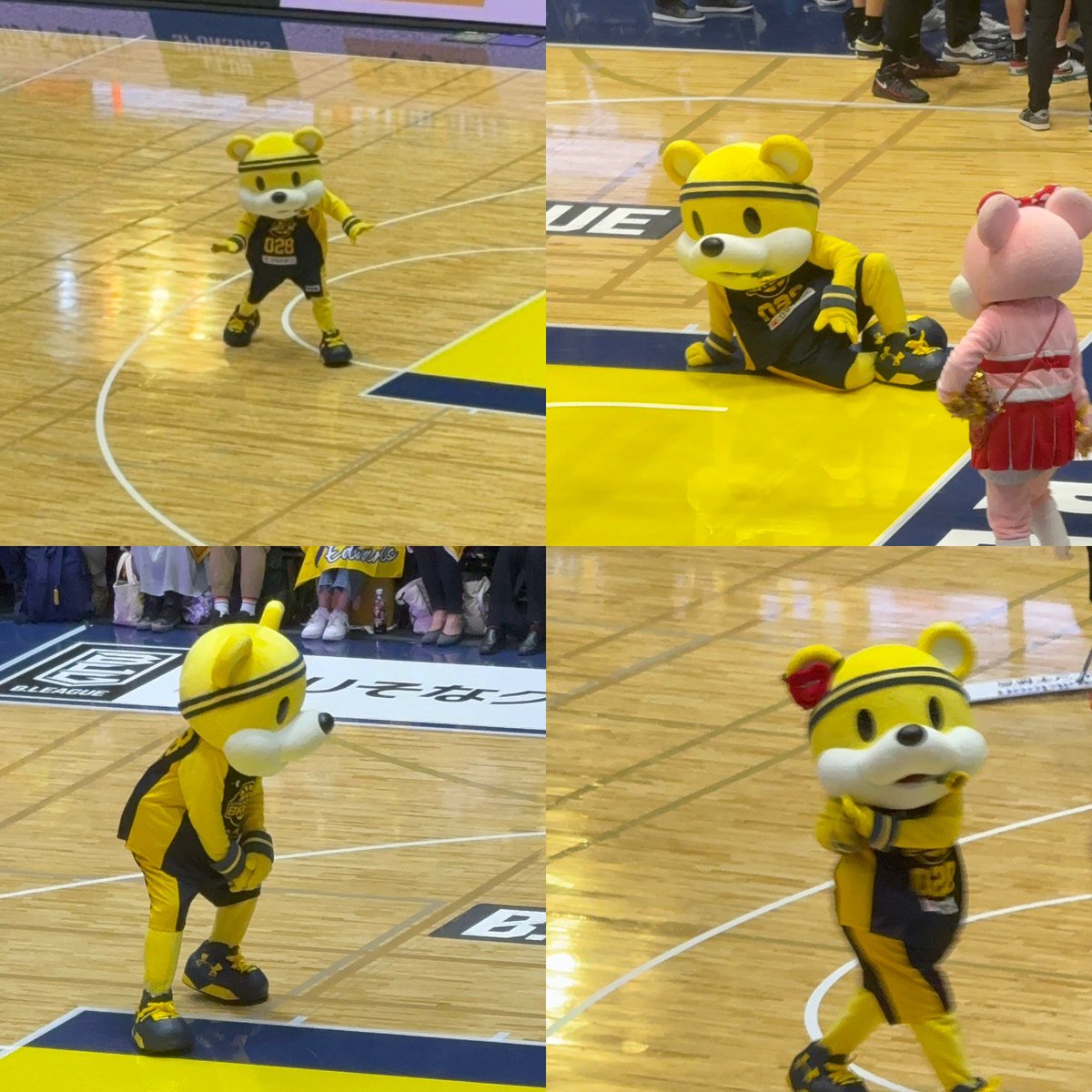 m67t_ba_so's tweet photo. 全部がかわいいブレッキー🐻🏀🌻 https://t.co/AKmHlNNDry