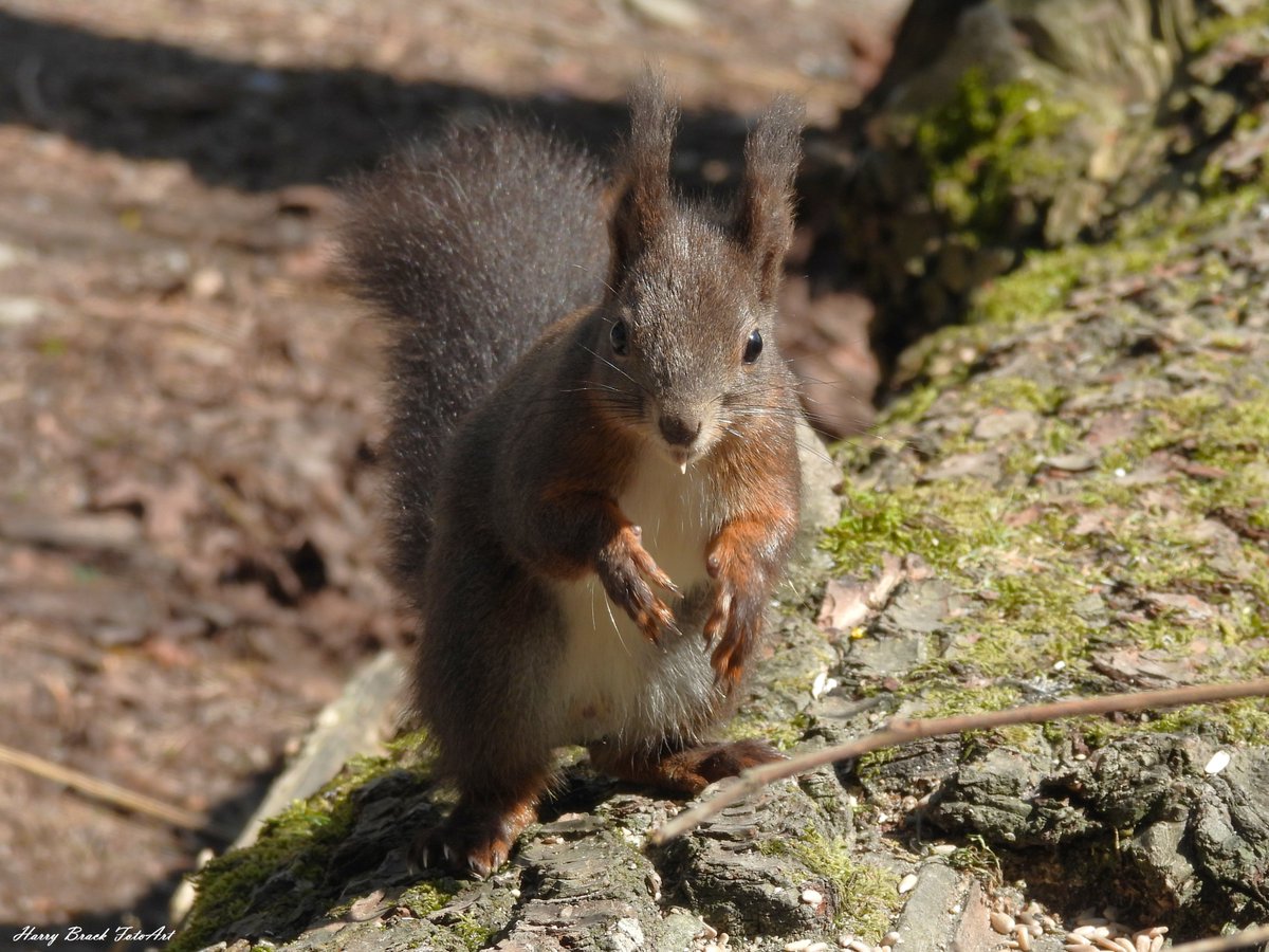 Guten Morgen Freunde der @hobbyfotografie