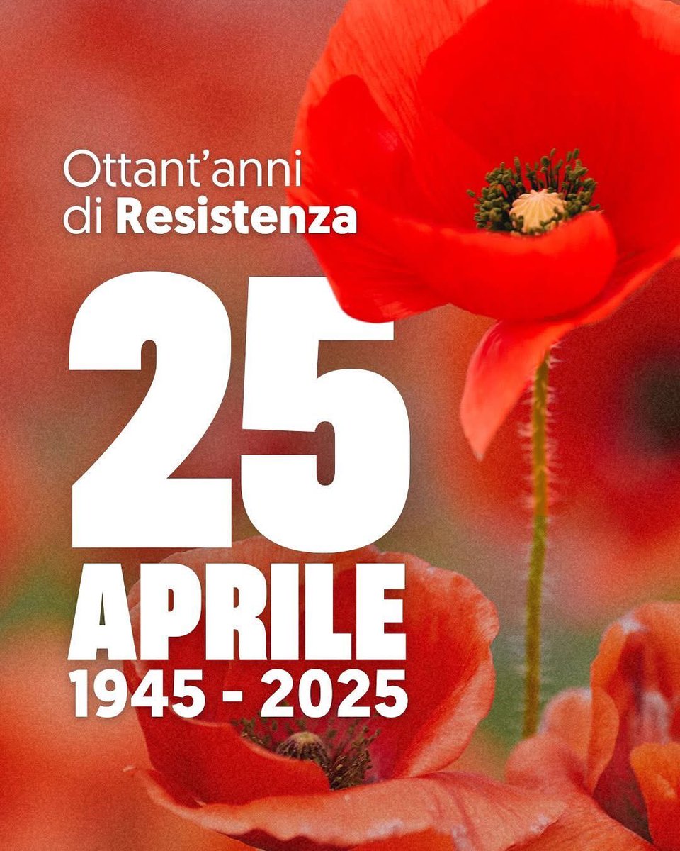 Benzo (@ilbenzo) on Twitter photo 