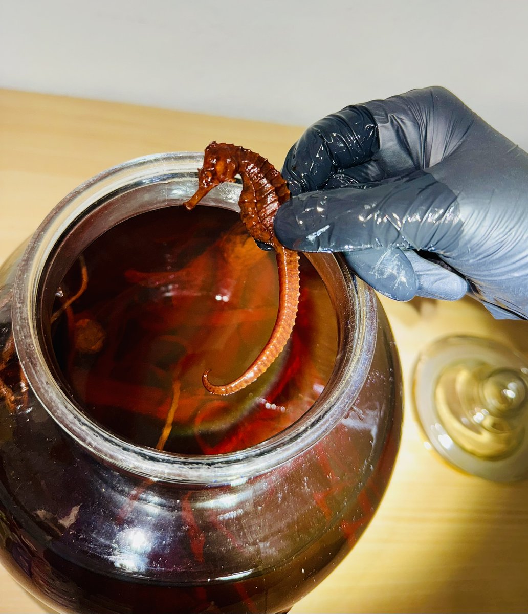 🐠Plzeňští celníci zajistili chráněné mořské koníky v prodejně potravin

Tisková zpráva🔽
tinyurl.com/y3za5rbt