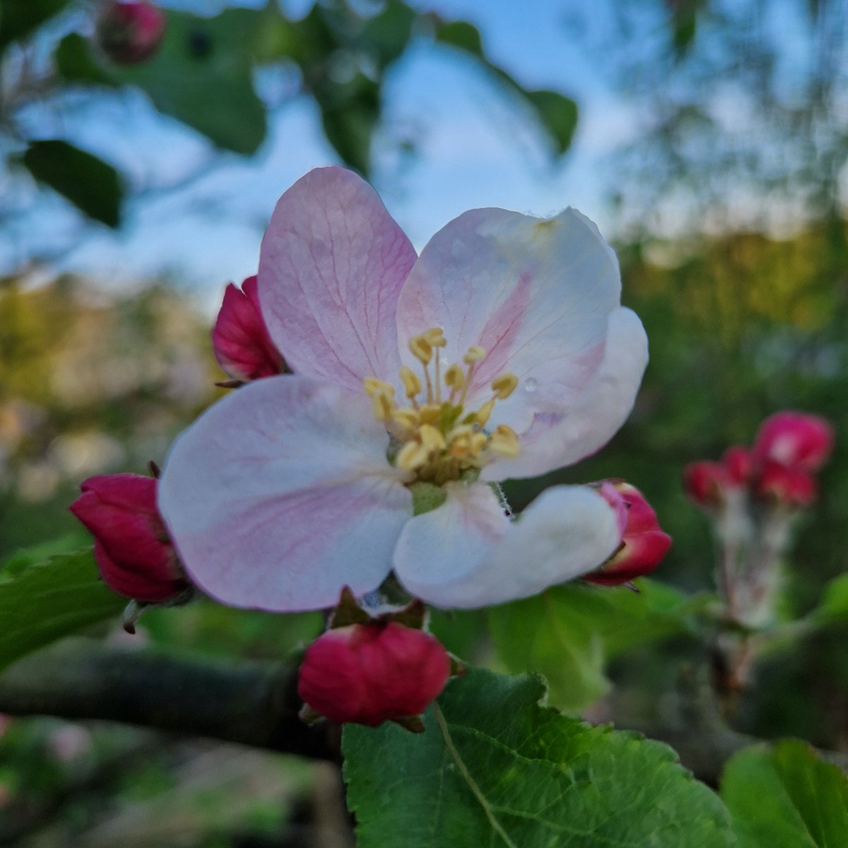 Good morning #Friday #Weekend <a href="/HLAllotments/">Harpers Lane Allotments</a> #Bolton  ☀️