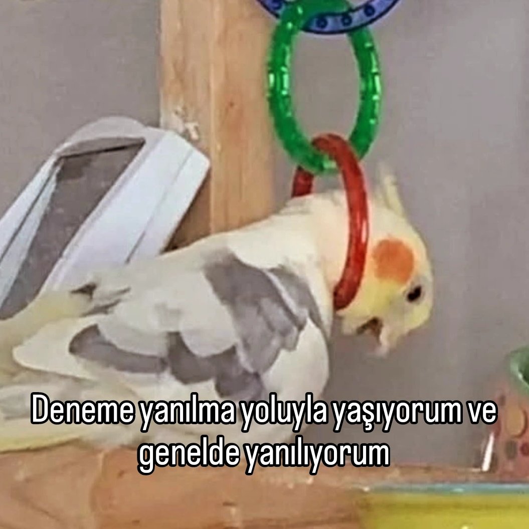 ANLIK (@anlikmod) on Twitter photo 