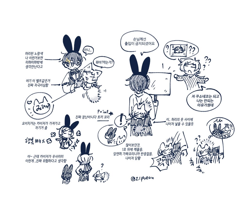 zipbean's tweet photo. 카이이사 🐰모음 ㅣ https://t.co/SqZeArdWuI