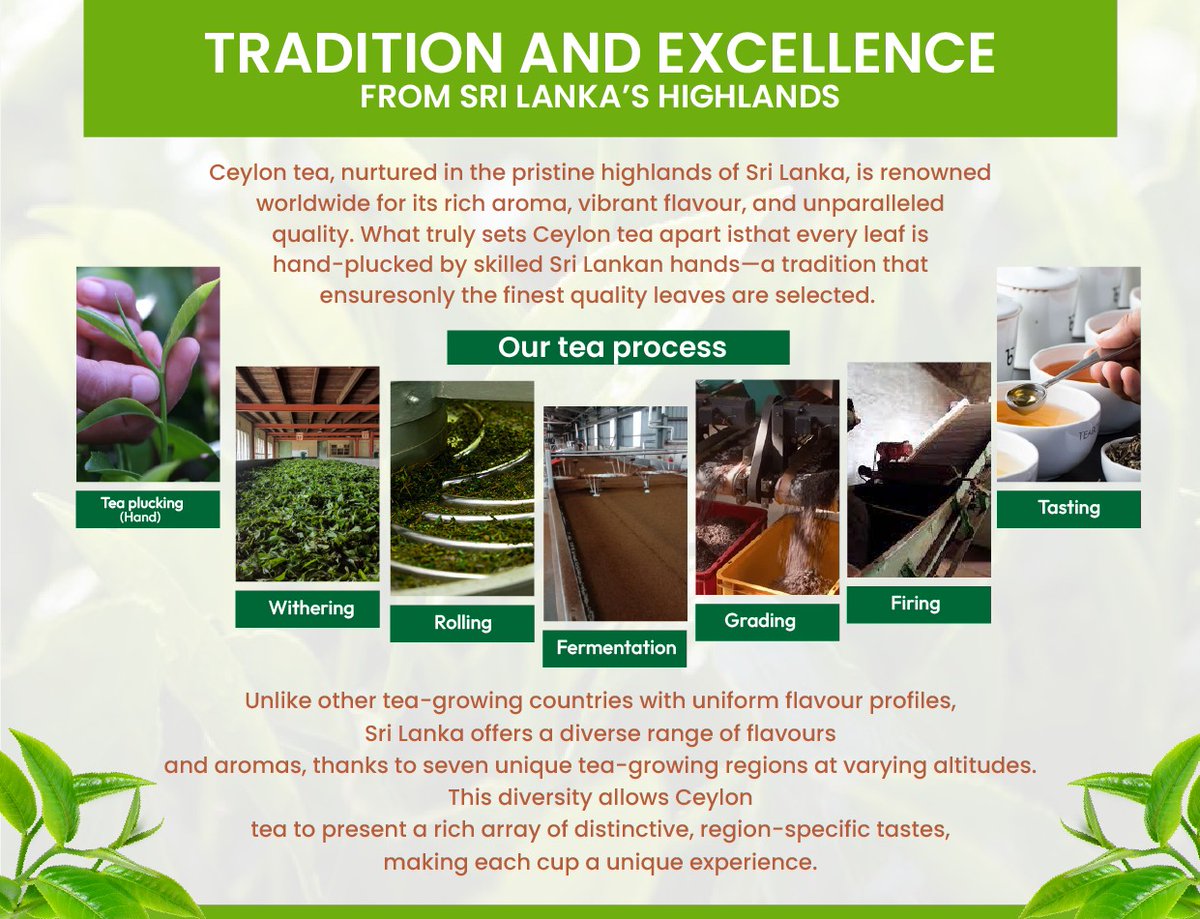 Our Tea Process
Tradition &amp; The excellence in our Manufacture   🚢 FOB/CIF prices available   📦 MOQ 50kg (trial orders welcome)   📅 Dispatch in 7 days   Comment ‘PRICE’ or   DM NOW! #TeaExporter #BulkTea"*
