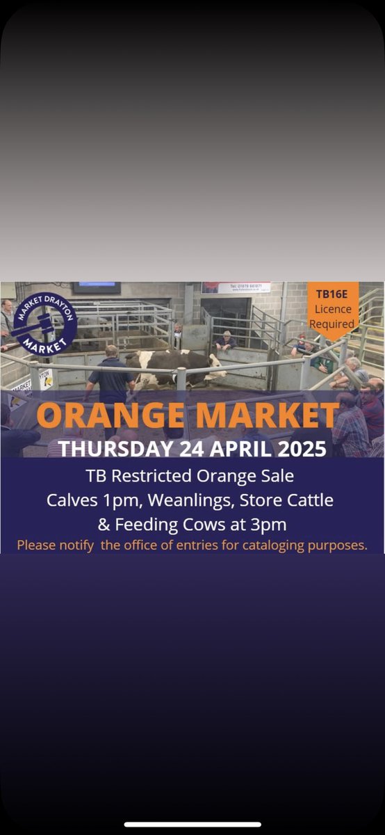 rich robs 🏴󠁧󠁢󠁷󠁬󠁳󠁿 tweet media