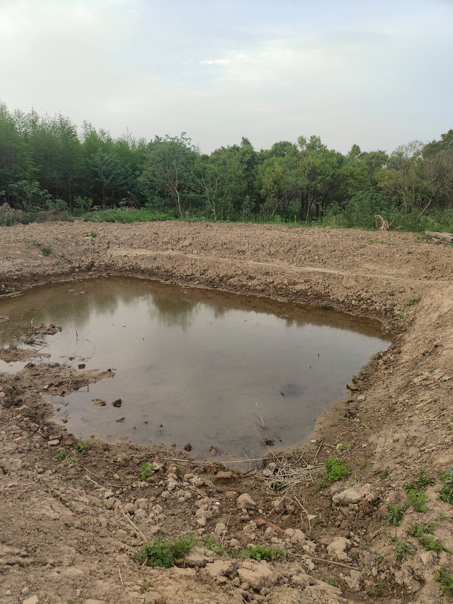 地牢，水牢建筑计划 https://t.co/8KDP2xL2Ka