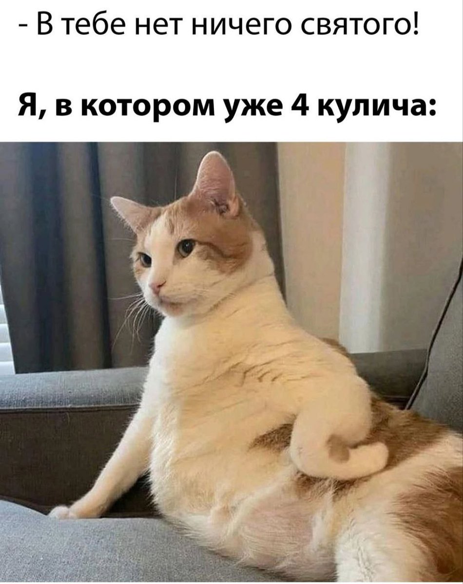 Borsique😺 (@borsique) on Twitter photo 