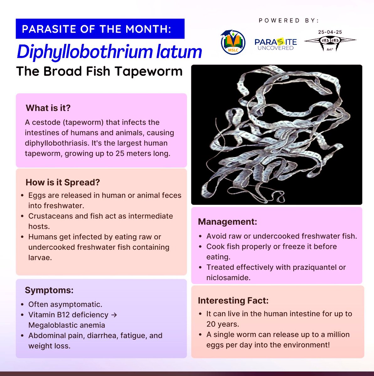 Nikasinolo's tweet photo. Introducing our parasite of the month of April and everything you need to know about the parasite

Diphyllobothrium latum

#parasiteuncovered 
#PublicHealth https://t.co/VQoOB5jJp9